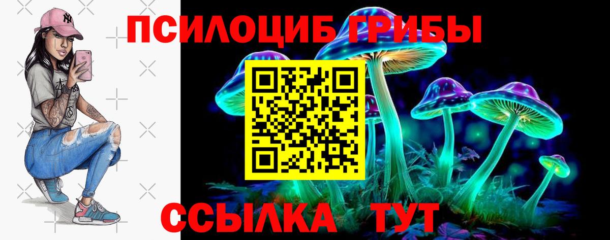 Псилоцибиновые грибы Psilocybe  Вход с VPN  Кашира 